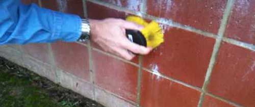 professionals repairs tile efflorescence treatment